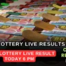 Dear Lottery Live Result Today 6 PM_Digidekho